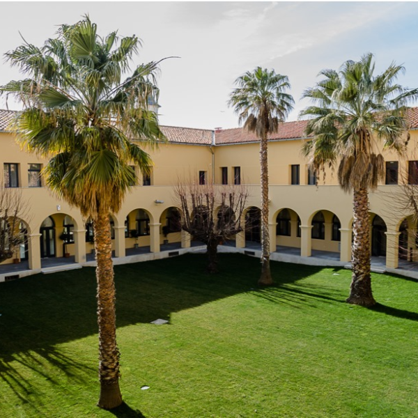 Mise au Vert Urbaine : Challenge RSE et Saveurs au Brasero