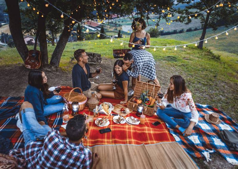 Un groupe d'amis partageant un pique-nique convivial sur une nappe à carreaux dans un parc verdoyant.