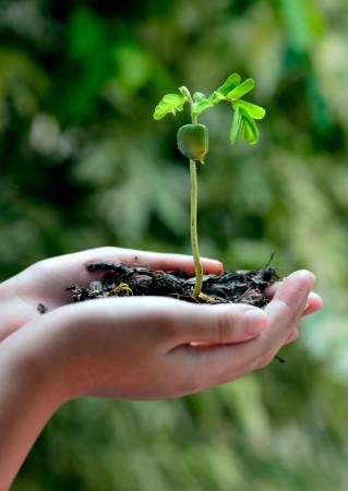 Nos prestations sur le secteur de à Aix-en-Provence proche des Milles